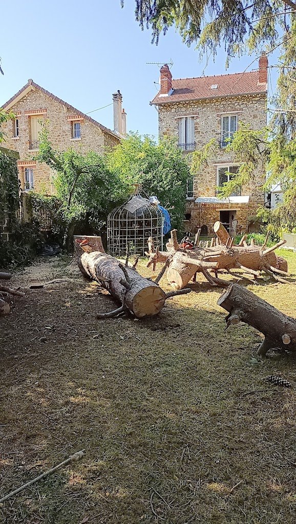 Taille d’Arbres Abattage arbres 95450